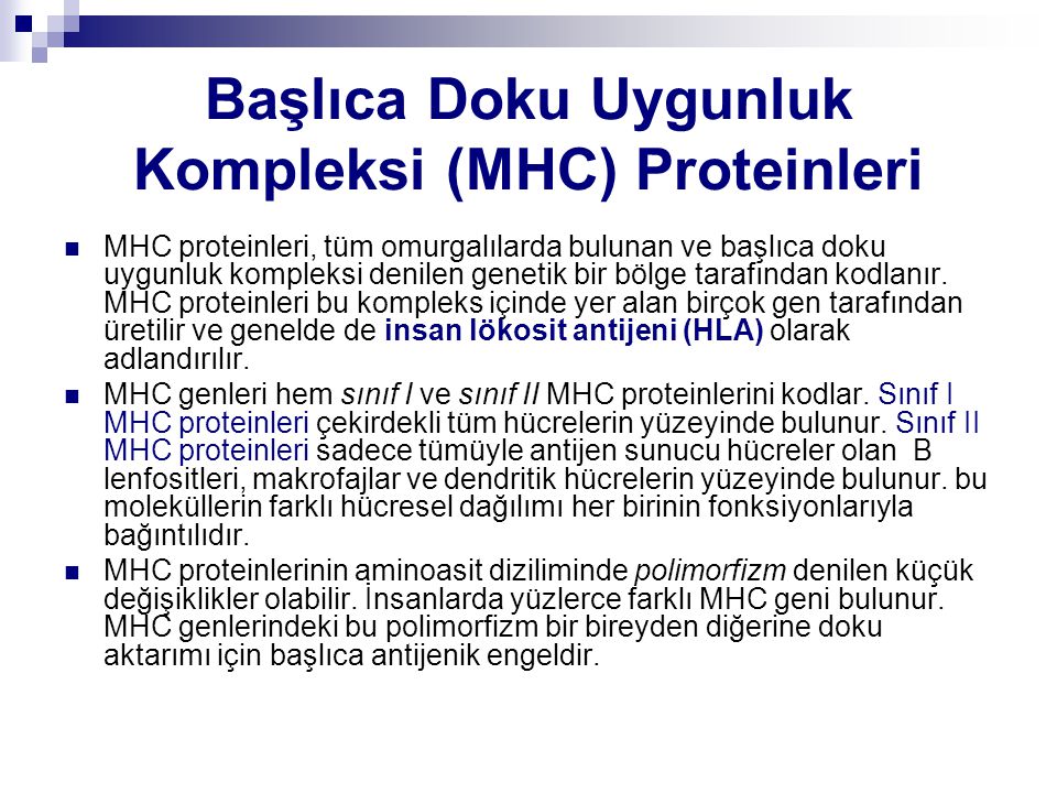 Başlıca Doku Uygunluk Kompleksi (MHC) Proteinleri