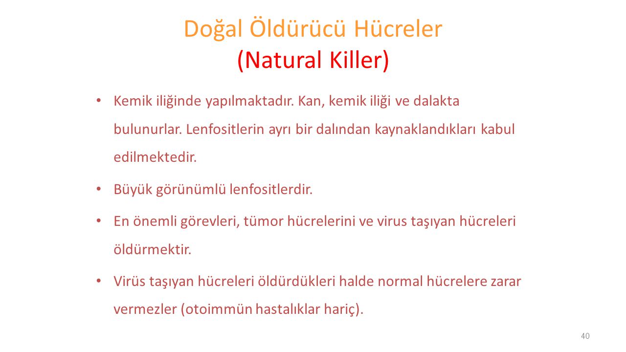Doğal Öldürücü Hücreler (Natural Killer)