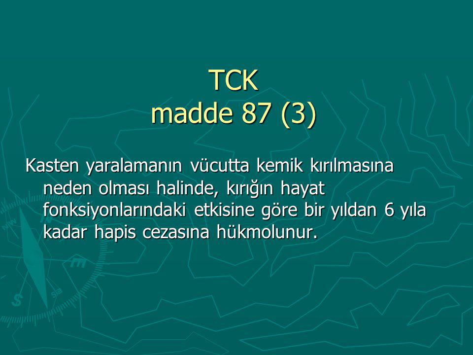 TCK madde 87 (3)