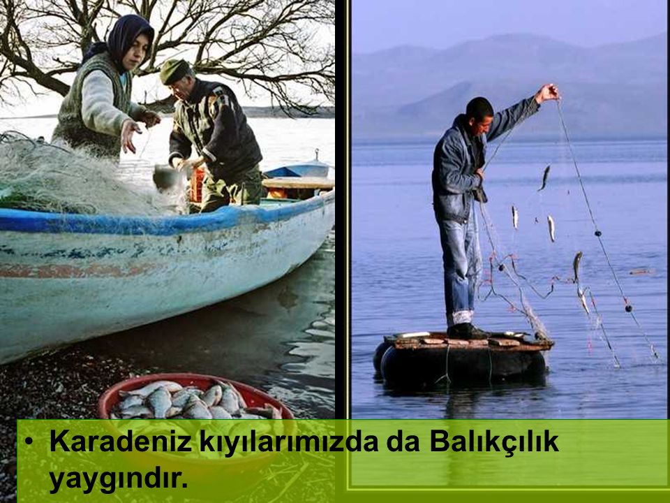 Karadeniz kıyılarımızda da Balıkçılık yaygındır.