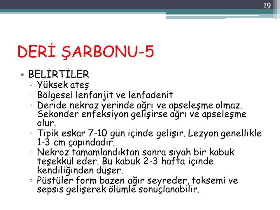 DERİ ŞARBONU-5 BELİRTİLER Yüksek ateş Bölgesel lenfanjit ve lenfadenit
