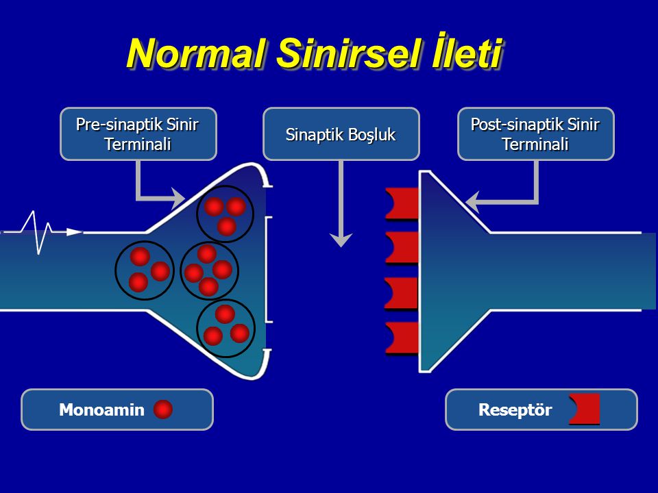Normal Sinirsel İleti Pre-sinaptik Sinir Terminali Sinaptik Boşluk