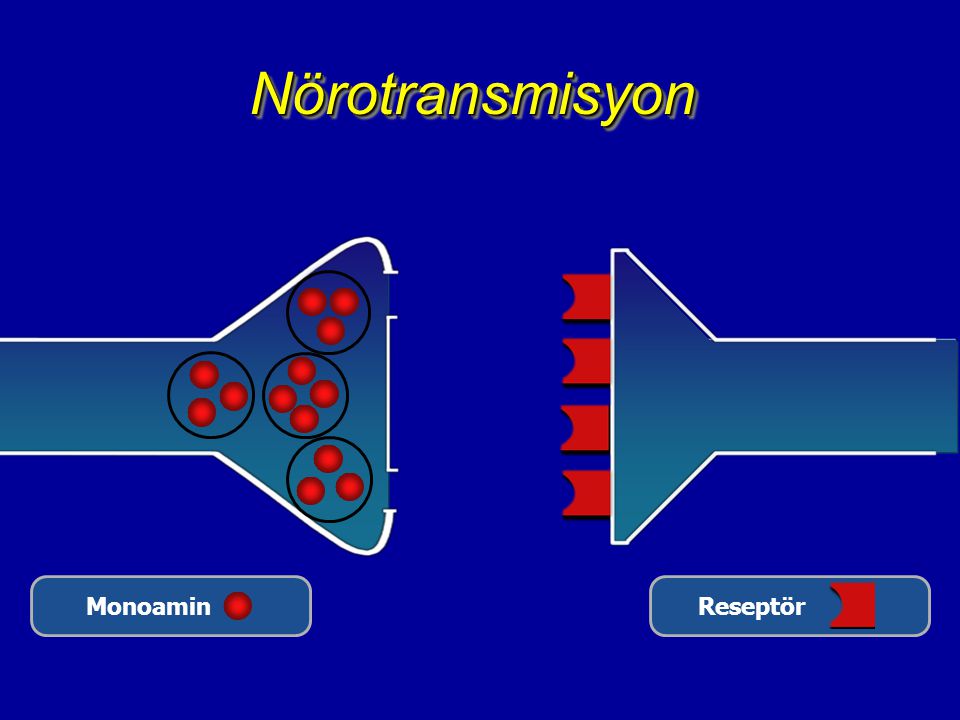 Nörotransmisyon Monoamin Reseptör