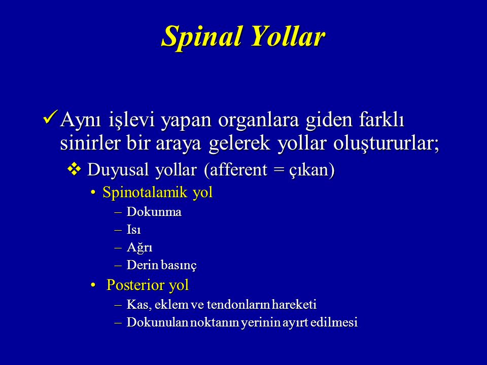 Spinal Yollar Aynı işlevi yapan organlara giden farklı sinirler bir araya gelerek yollar oluştururlar;