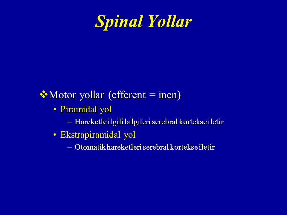 Spinal Yollar Motor yollar (efferent = inen) Piramidal yol