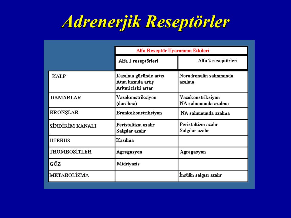 Adrenerjik Reseptörler