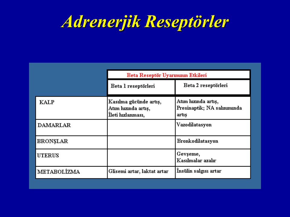 Adrenerjik Reseptörler
