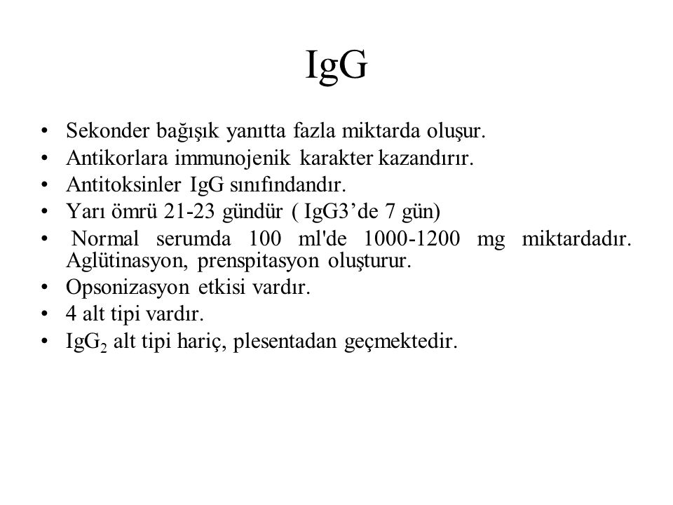 IgG Sekonder bağışık yanıtta fazla miktarda oluşur.