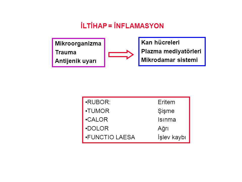 İLTİHAP = İNFLAMASYON Kan hücreleri Mikroorganizma