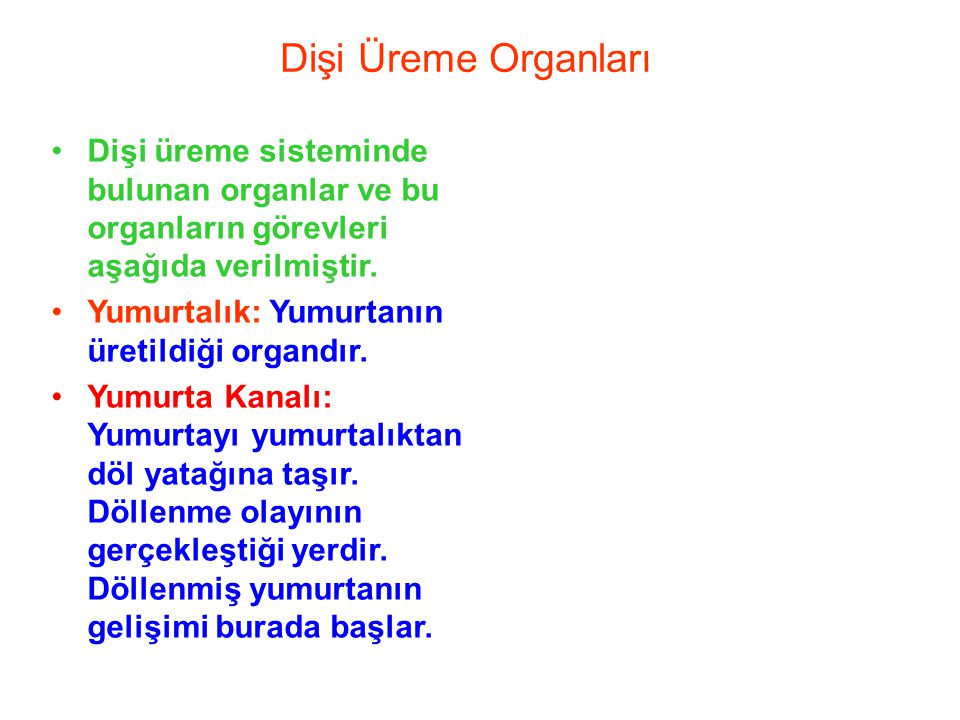 Dişi Üreme Organları Dişi üreme sisteminde bulunan organlar ve bu organların görevleri aşağıda verilmiştir.