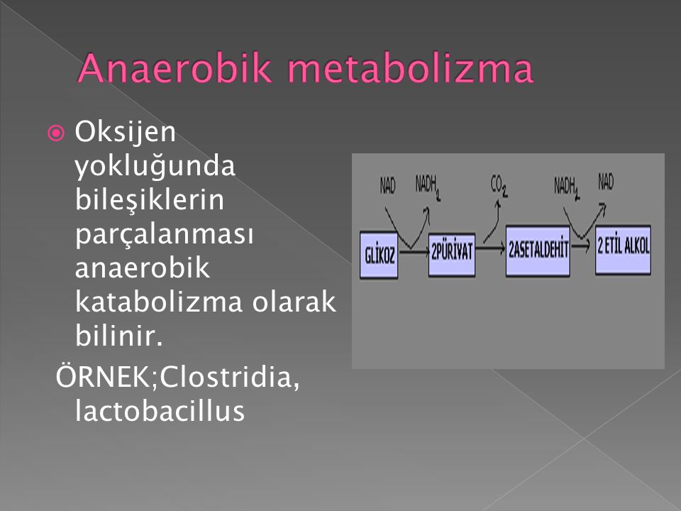 Anaerobik metabolizma
