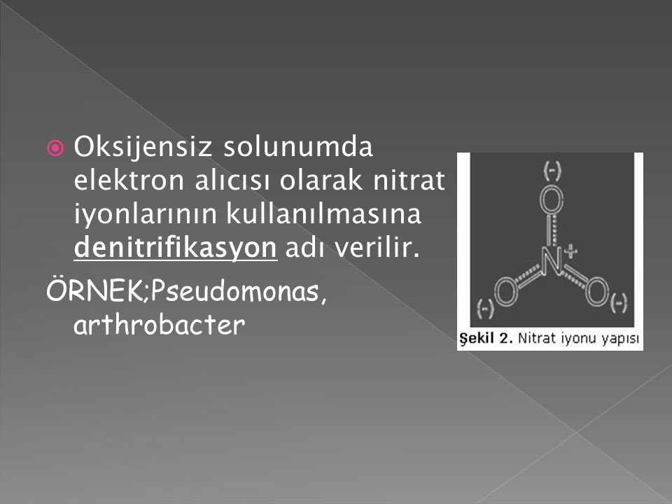 Oksijensiz solunumda elektron alıcısı olarak nitrat iyonlarının kullanılmasına denitrifikasyon adı verilir.