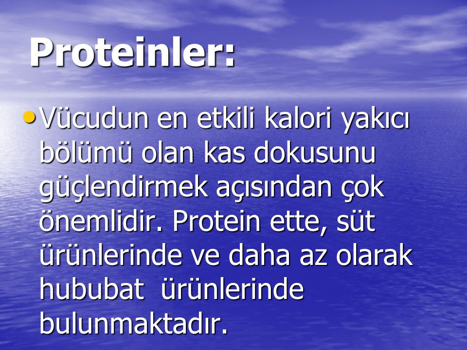 Proteinler: