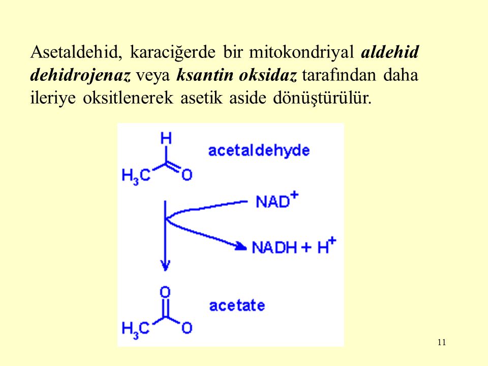 Asetaldehid, karaciğerde bir mitokondriyal aldehid dehidrojenaz veya ksantin oksidaz tarafından daha ileriye oksitlenerek asetik aside dönüştürülür.