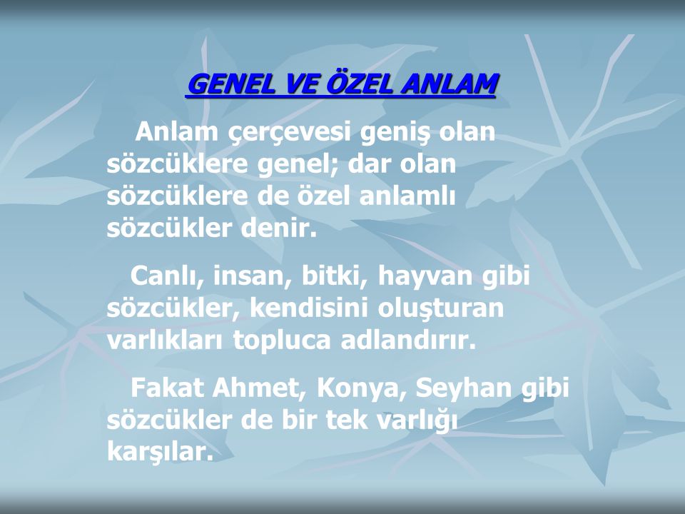 Fakat Ahmet, Konya, Seyhan gibi sözcükler de bir tek varlığı karşılar.