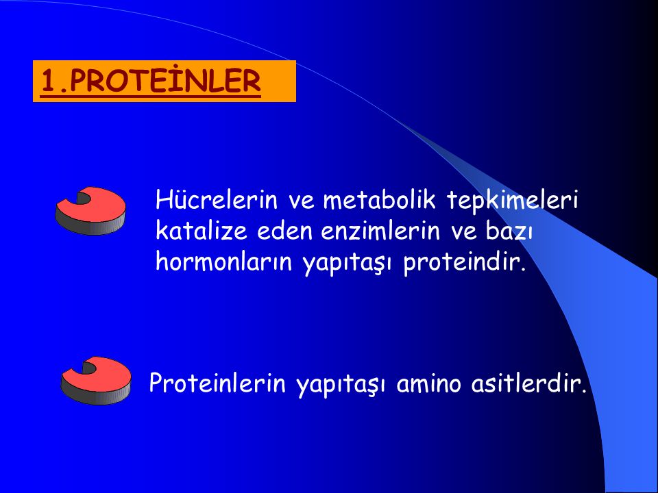 1.PROTEİNLER Hücrelerin ve metabolik tepkimeleri katalize eden enzimlerin ve bazı hormonların yapıtaşı proteindir.