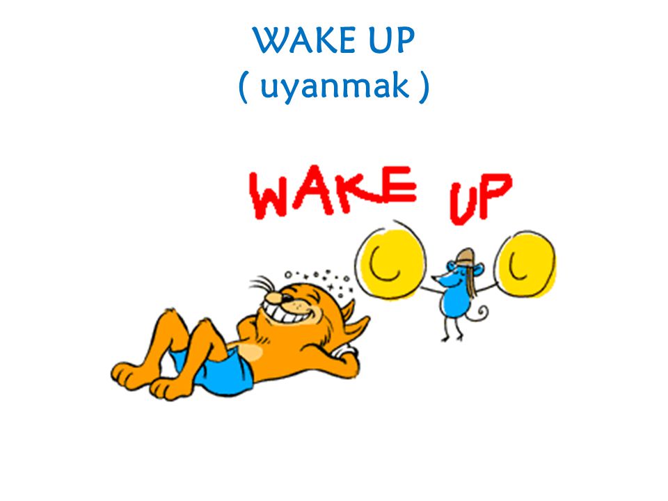 WAKE UP ( uyanmak )
