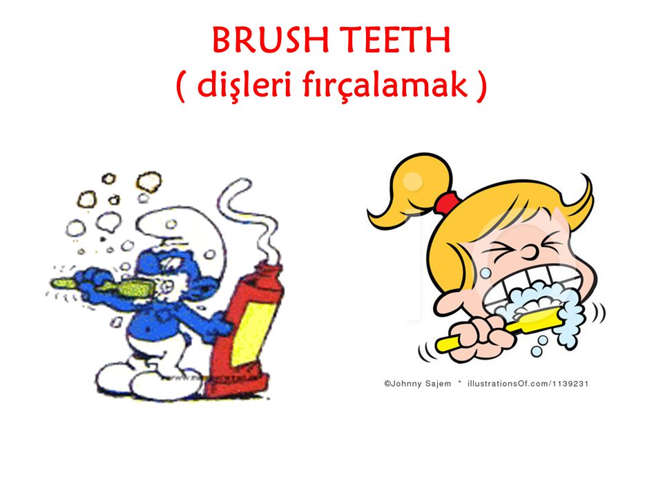 BRUSH TEETH ( dişleri fırçalamak )