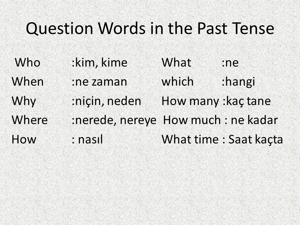 Question Words in the Past Tense