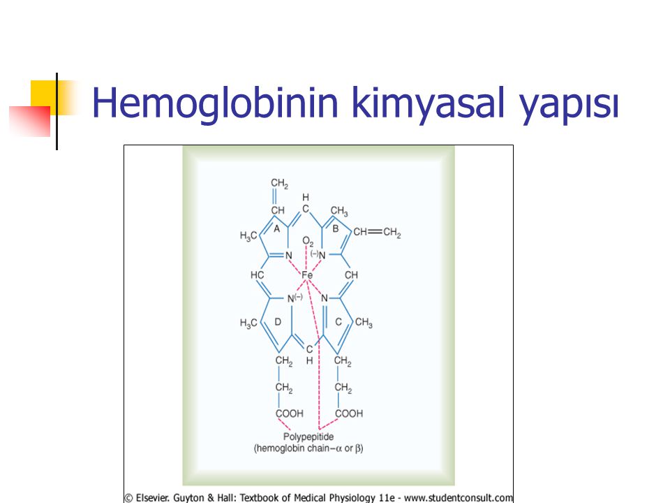 Hemoglobinin kimyasal yapısı