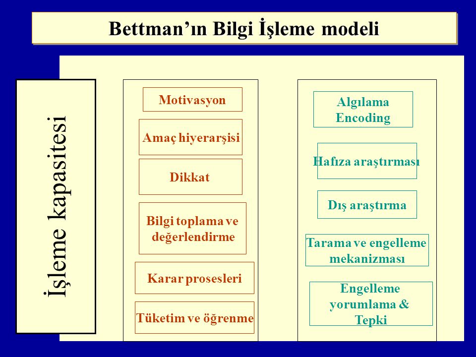 Bettman’ın Bilgi İşleme modeli