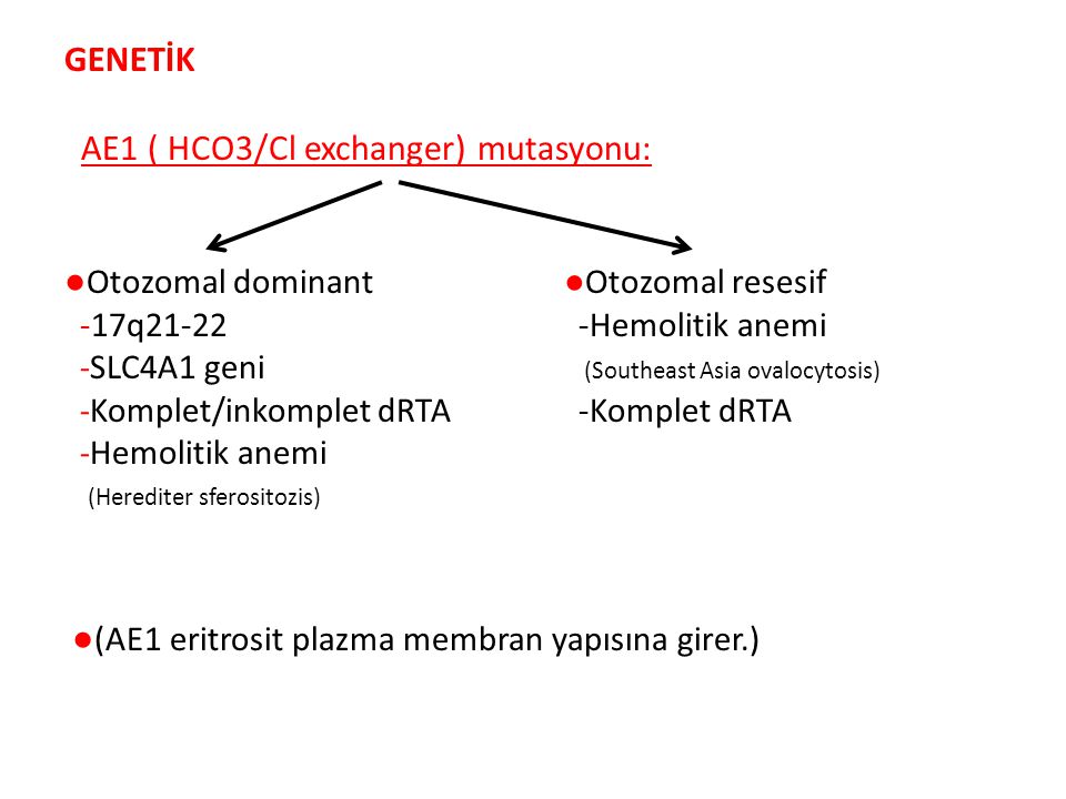 AE1 ( HCO3/Cl exchanger) mutasyonu: