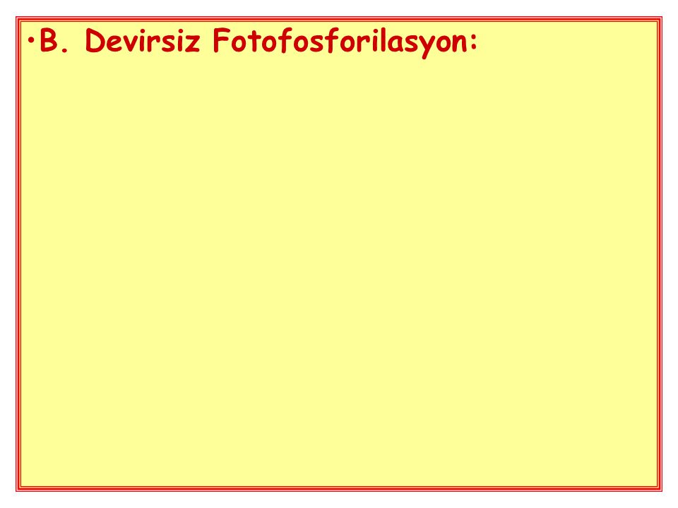 B. Devirsiz Fotofosforilasyon: