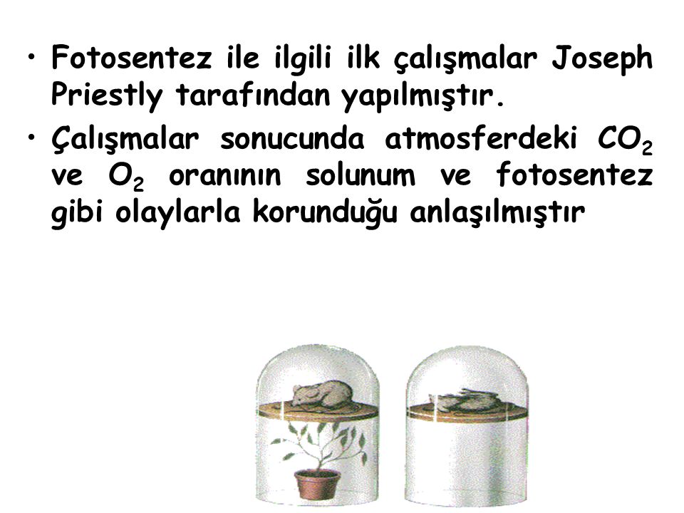 Fotosentez ile ilgili ilk çalışmalar Joseph Priestly tarafından yapılmıştır.