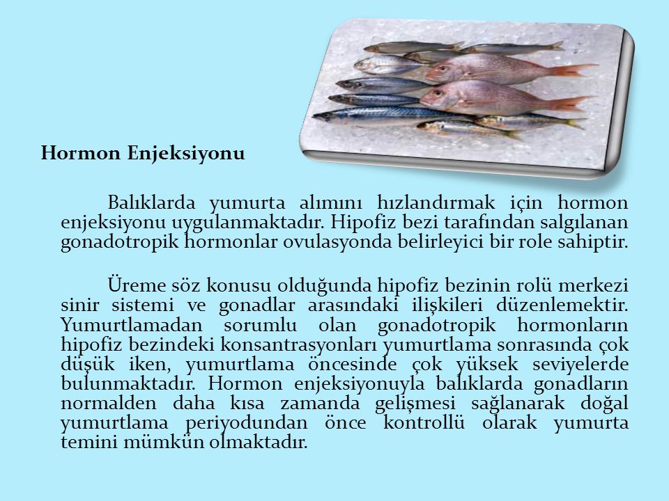 Hormon Enjeksiyonu Balıklarda yumurta alımını hızlandırmak için hormon enjeksiyonu uygulanmaktadır.