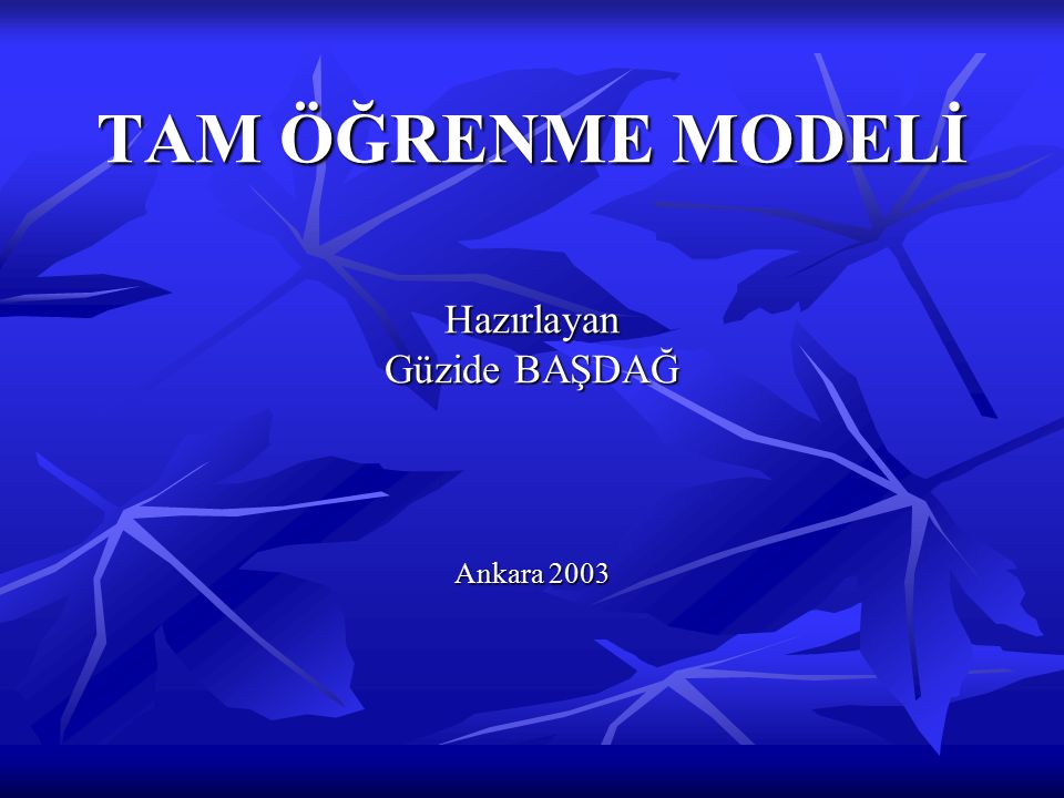 TAM ÖĞRENME MODELİ Hazırlayan Güzide BAŞDAĞ Ankara 2003