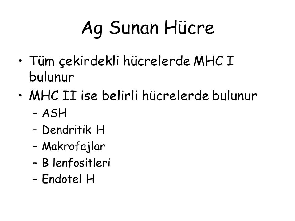 Ag Sunan Hücre Tüm çekirdekli hücrelerde MHC I bulunur