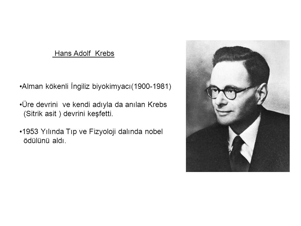 Hans Adolf Krebs Alman kökenli İngiliz biyokimyacı( ) Üre devrini ve kendi adıyla da anılan Krebs.
