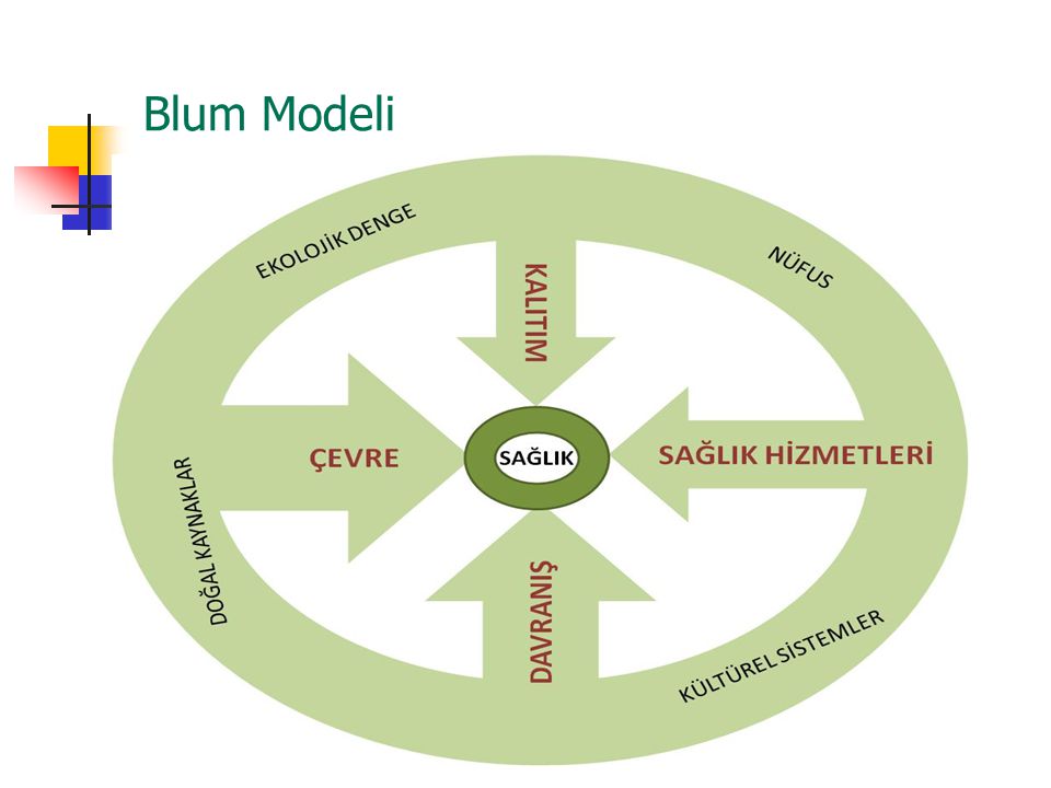 Blum Modeli