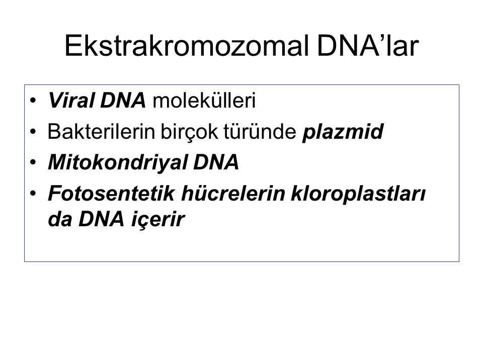 Ekstrakromozomal DNA’lar