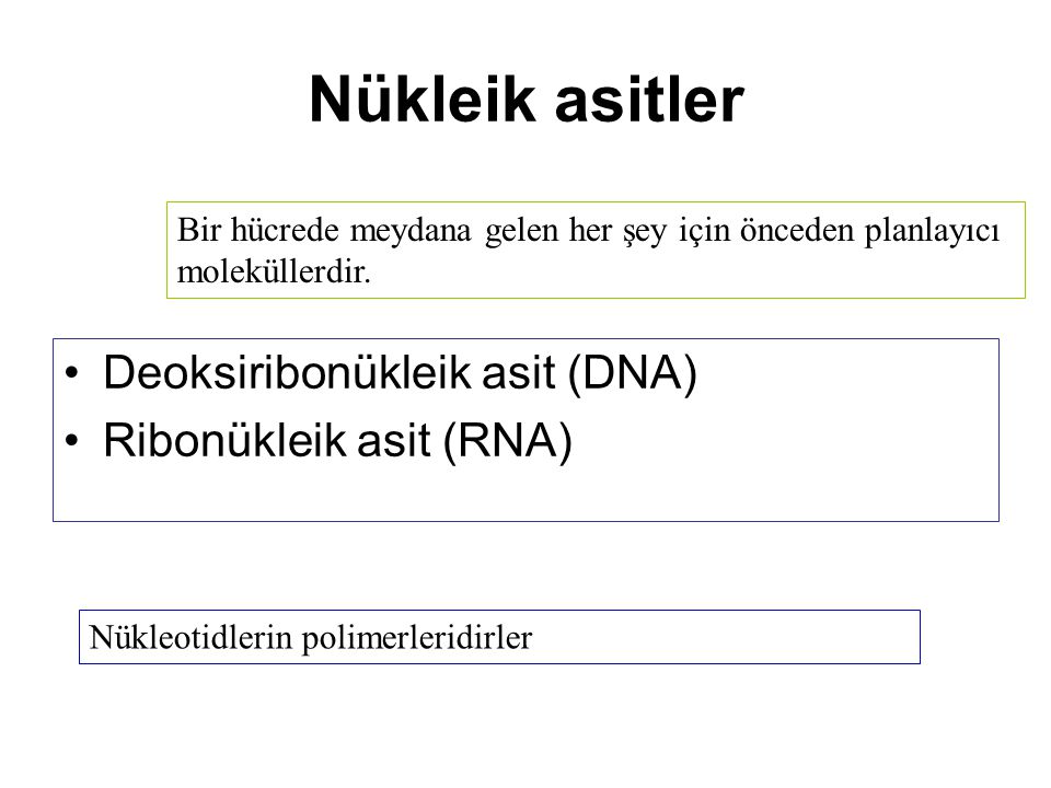 Nükleik asitler Deoksiribonükleik asit (DNA) Ribonükleik asit (RNA)