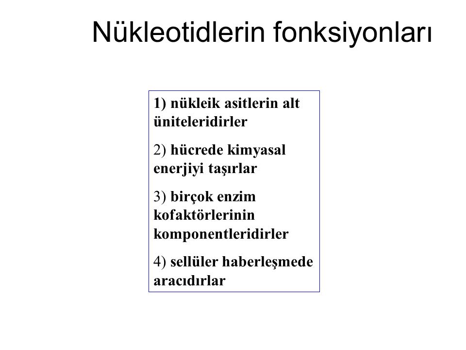 Nükleotidlerin fonksiyonları