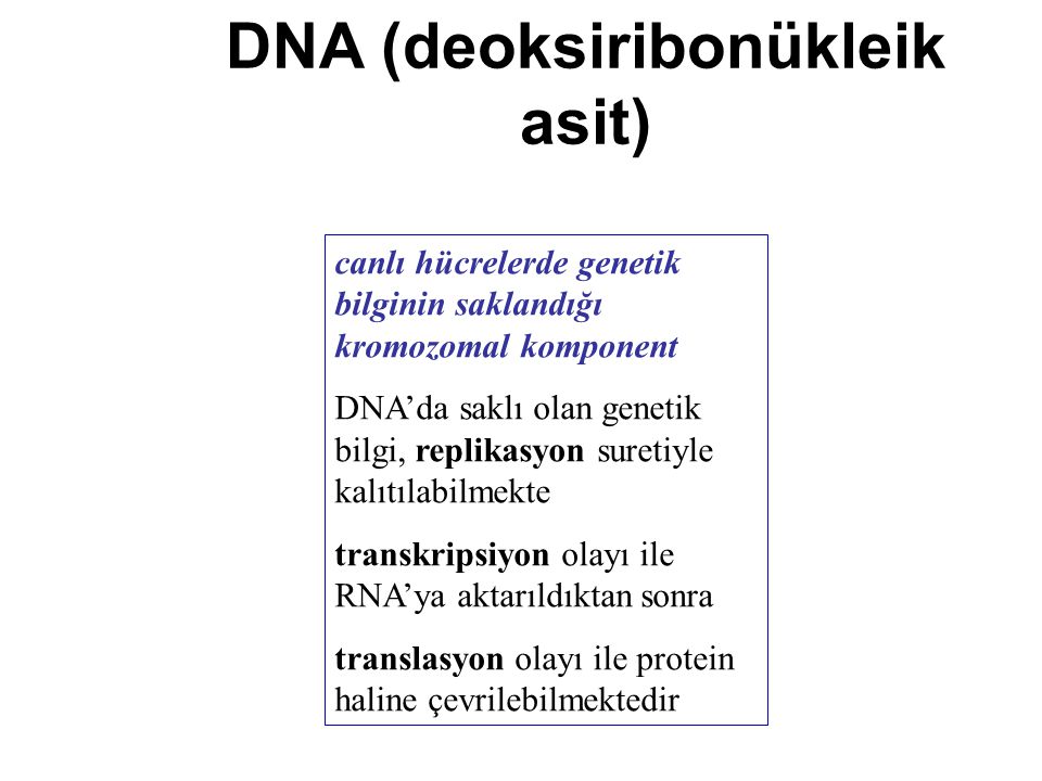 DNA (deoksiribonükleik asit)