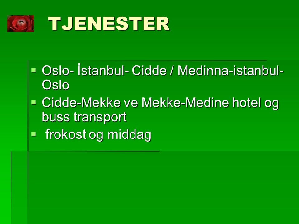 TJENESTER Oslo- İstanbul- Cidde / Medinna-istanbul-Oslo