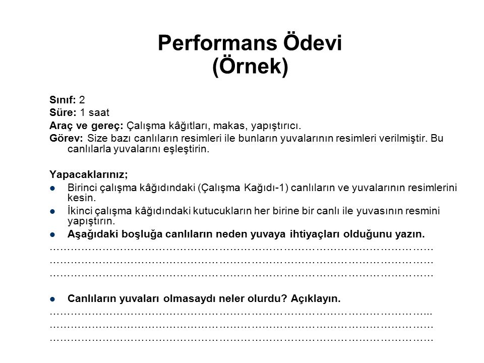 Performans Ödevi (Örnek)