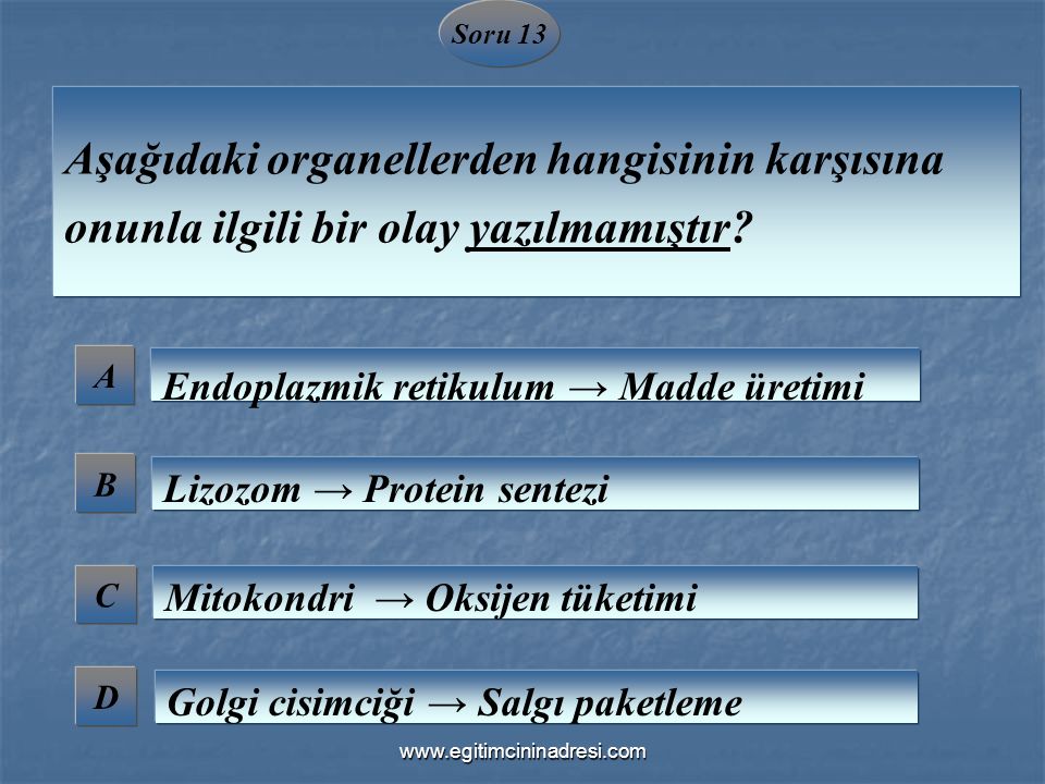 Soru 13 Aşağıdaki organellerden hangisinin karşısına onunla ilgili bir olay yazılmamıştır A. Endoplazmik retikulum → Madde üretimi.