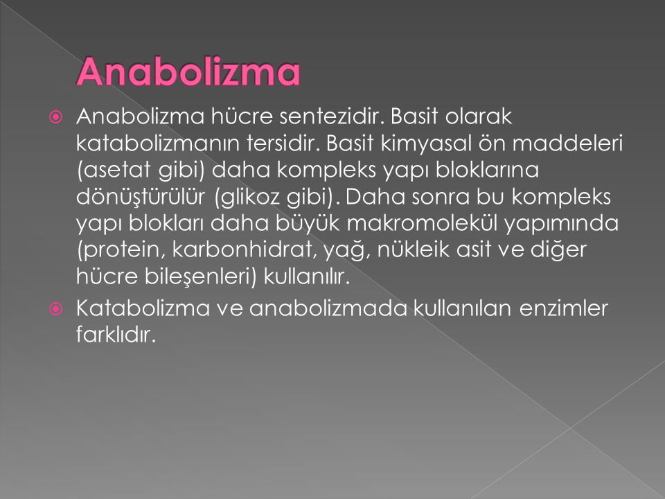 Anabolizma