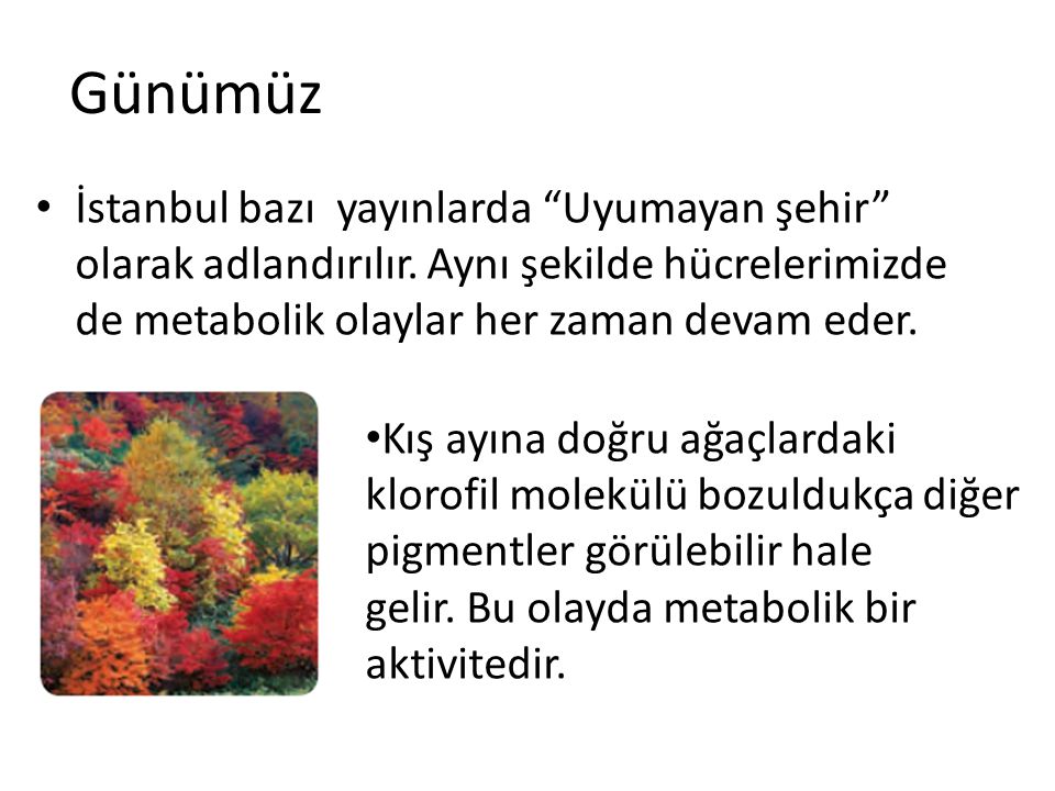 Günümüz İstanbul bazı yayınlarda Uyumayan şehir olarak adlandırılır. Aynı şekilde hücrelerimizde de metabolik olaylar her zaman devam eder.