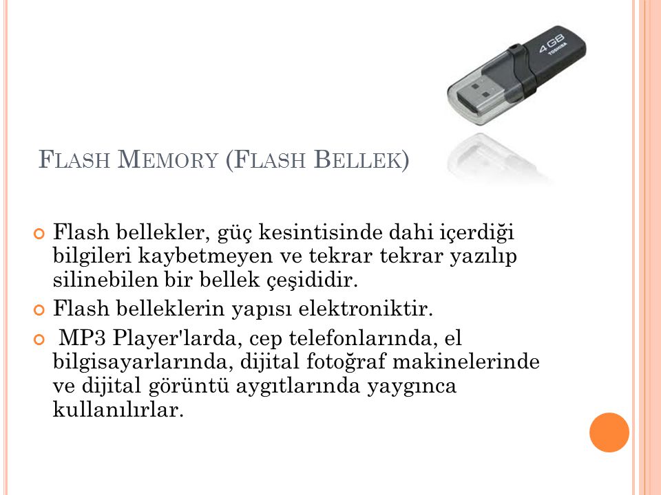 Flash Memory (Flash Bellek)