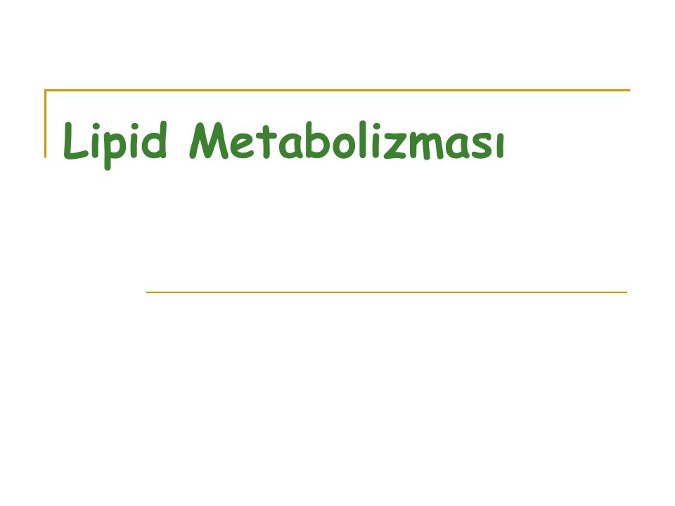 Lipid Metabolizması