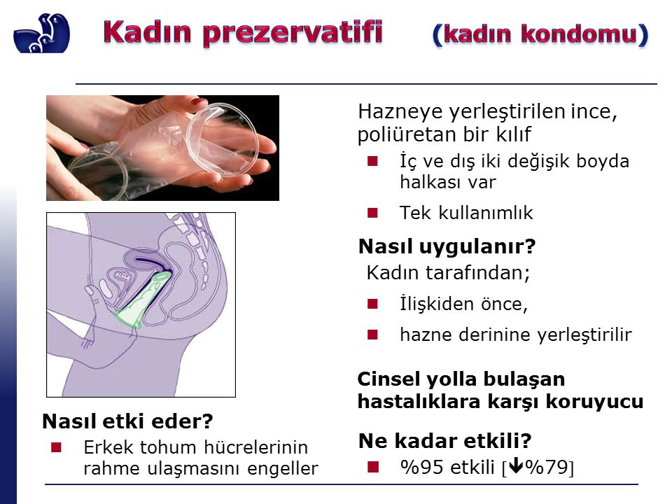 Penisin Vajina Içine Boşalma Görüntüleri