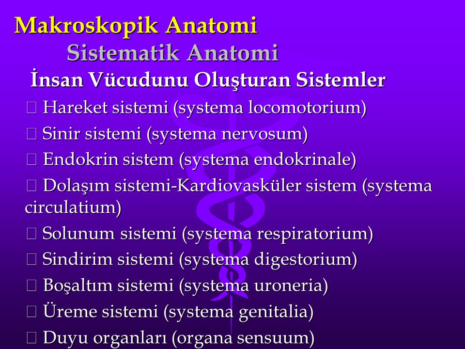 Makroskopik Anatomi Sistematik Anatomi
