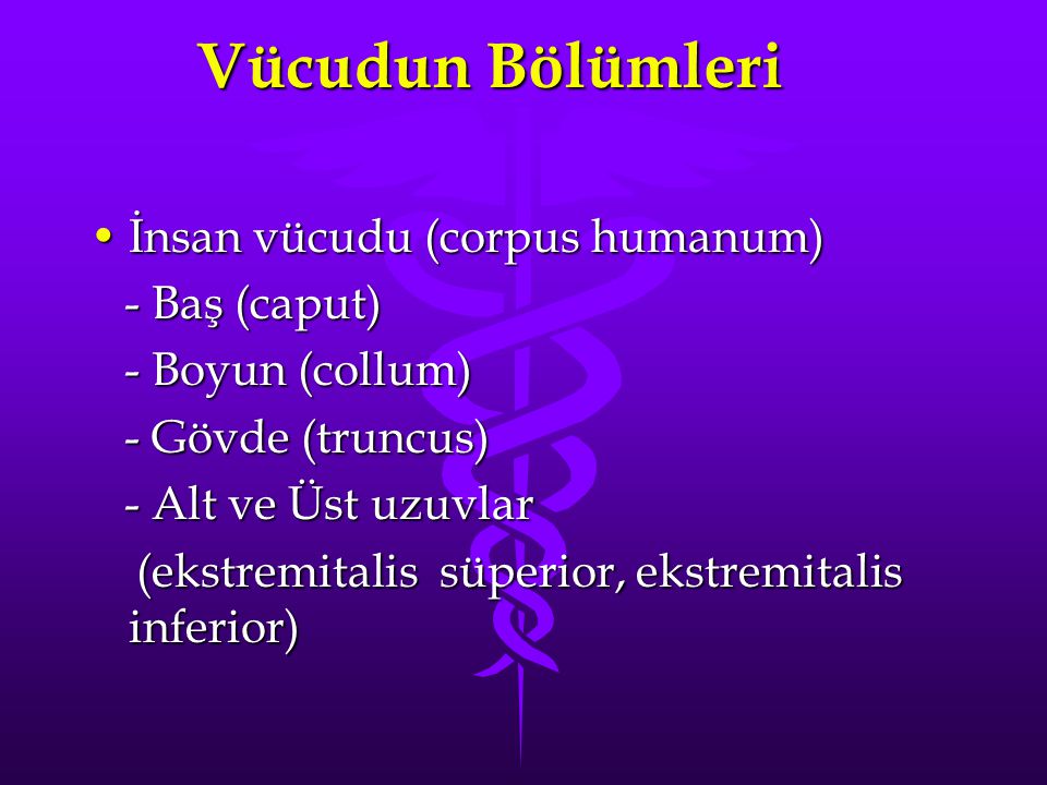 Vücudun Bölümleri İnsan vücudu (corpus humanum) - Baş (caput)