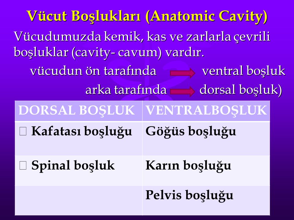 Vücut Boşlukları (Anatomic Cavity)