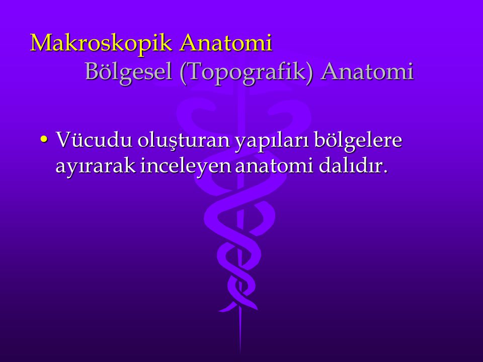 Makroskopik Anatomi Bölgesel (Topografik) Anatomi