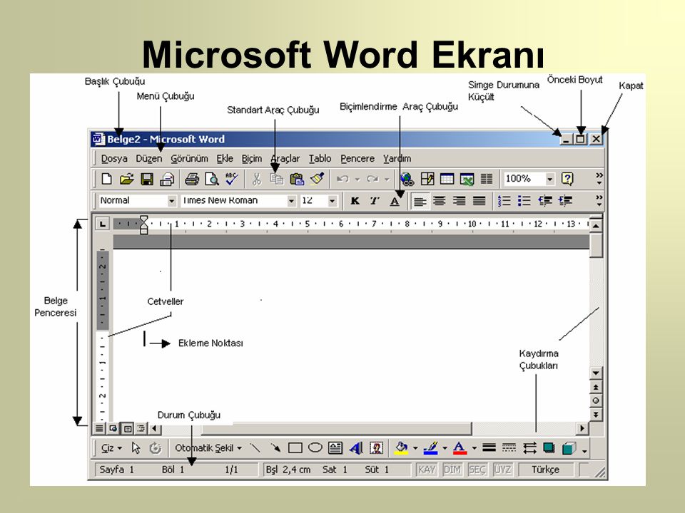 Что делает майкрософт. Microsoft Word. Microsoft Word turkce. Microsoft Word proqrami. Какой компанией была разработана и выпущена программа Word.